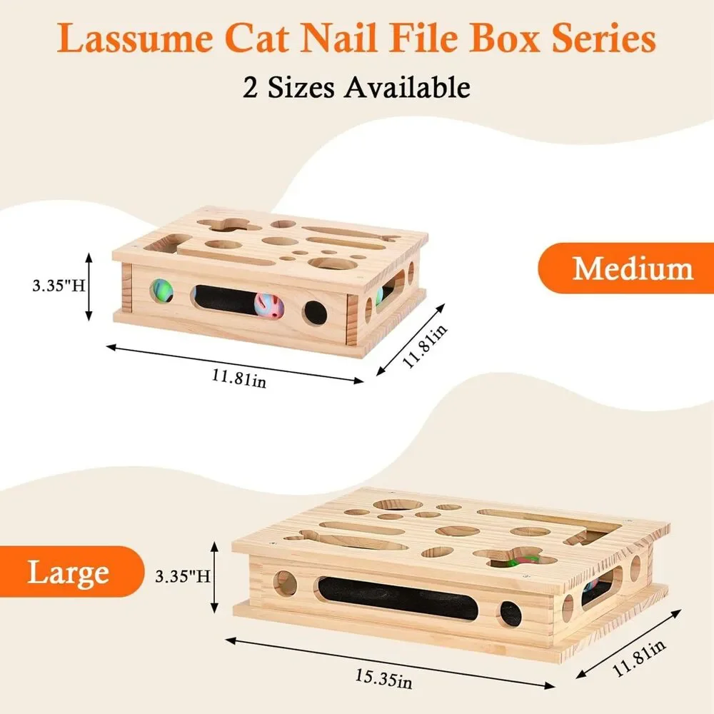 Lassume 🌟 new